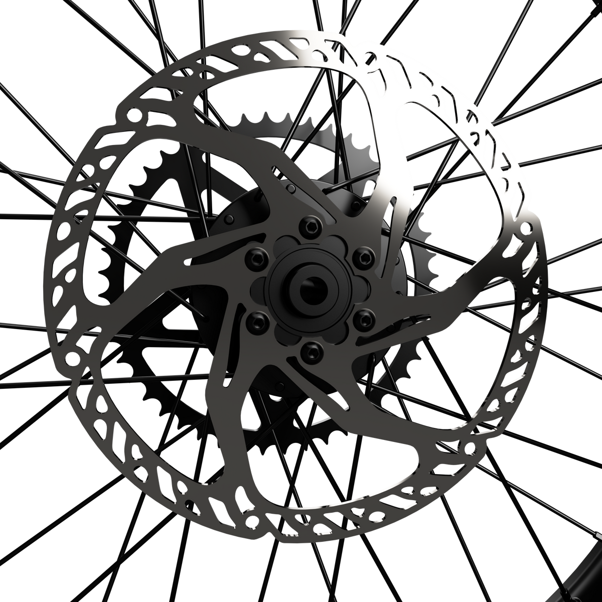 220mm Fixed Rotor Talaria