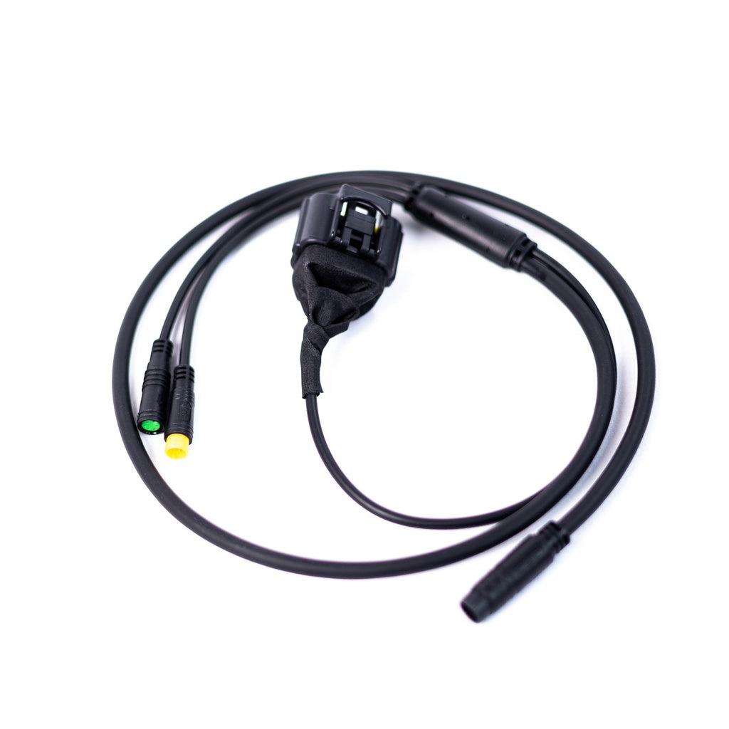 EBMX Ultra Bee Stock Display Harness (compatible with X-9000)