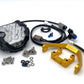 E-Moto Big Light Kit (Collective)