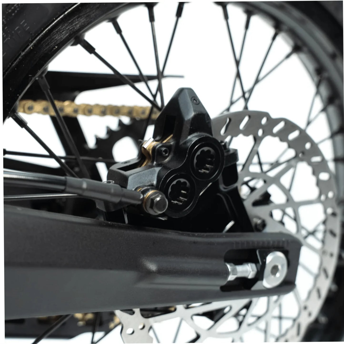 Arctic Leopard XE PRO